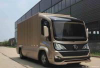 Chinese based company Dayun made a fully electric delivery van 土豪金 (Tyrant Gold) 