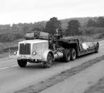 Mammoth MkIII ( модель 2431 / 2631 )