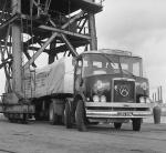 Borderer/Venturer/Searcher/Defender/Leader