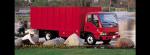 W-series '98